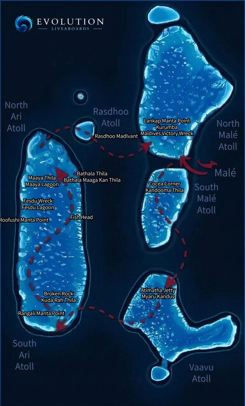 Evolution central Maldives itinerary map showing Malé, Rasdhoo, North and South Ari, and Vaavu atolls with dive-site stops